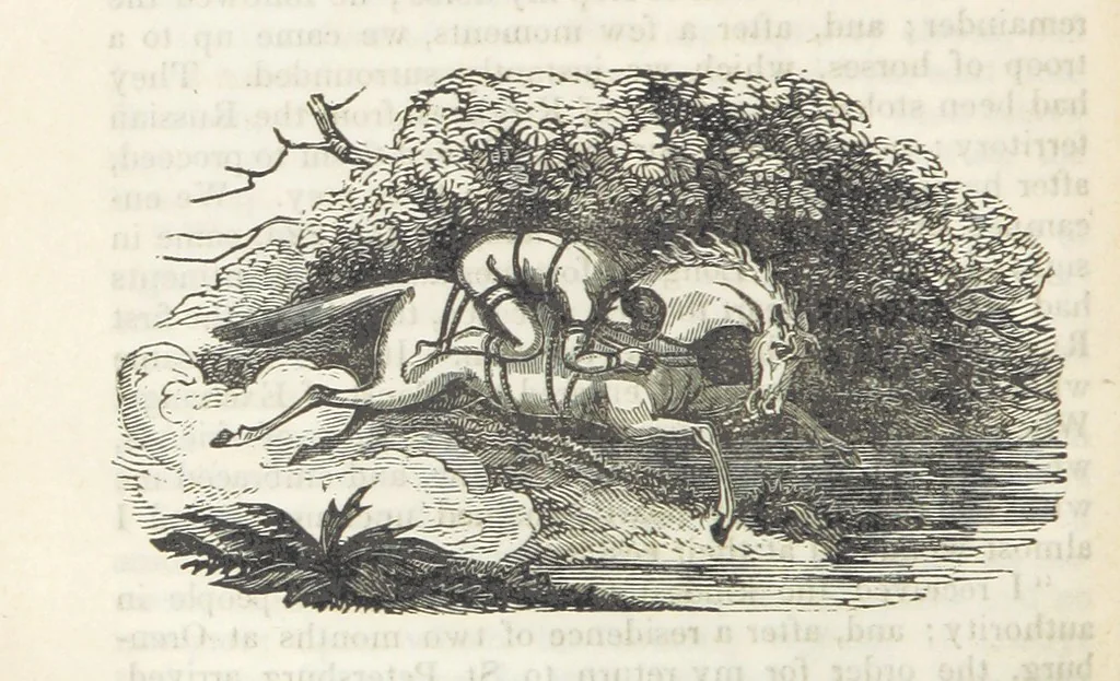 An illustration from Robinson Crusoe's own book; or, the voice of adventure from the civilized man cut off from his fellows ... and from the wanderer in strange seas and lands, etc, 1842, leaf 142