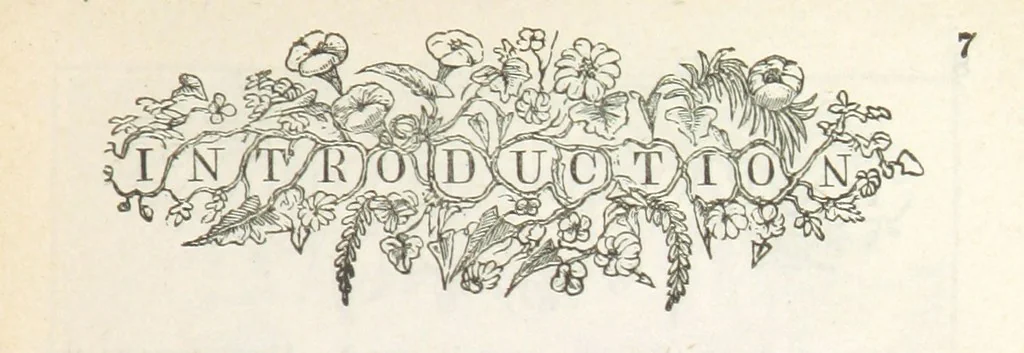 An illustration from Robinson Crusoe's own book; or, the voice of adventure from the civilized man cut off from his fellows ... and from the wanderer in strange seas and lands, etc, 1842, leaf 17