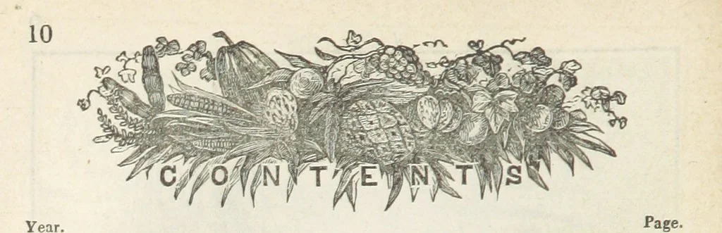An illustration from Robinson Crusoe's own book; or, the voice of adventure from the civilized man cut off from his fellows ... and from the wanderer in strange seas and lands, etc, 1842, leaf 20