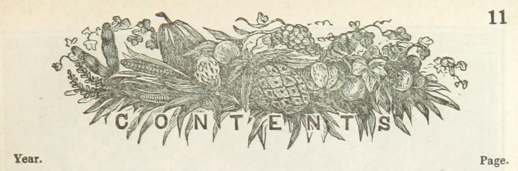 An illustration from Robinson Crusoe's own book; or, the voice of adventure from the civilized man cut off from his fellows ... and from the wanderer in strange seas and lands, etc, 1842, leaf 21