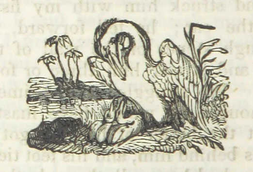 An illustration from Robinson Crusoe's own book; or, the voice of adventure from the civilized man cut off from his fellows ... and from the wanderer in strange seas and lands, etc, 1842, leaf 210