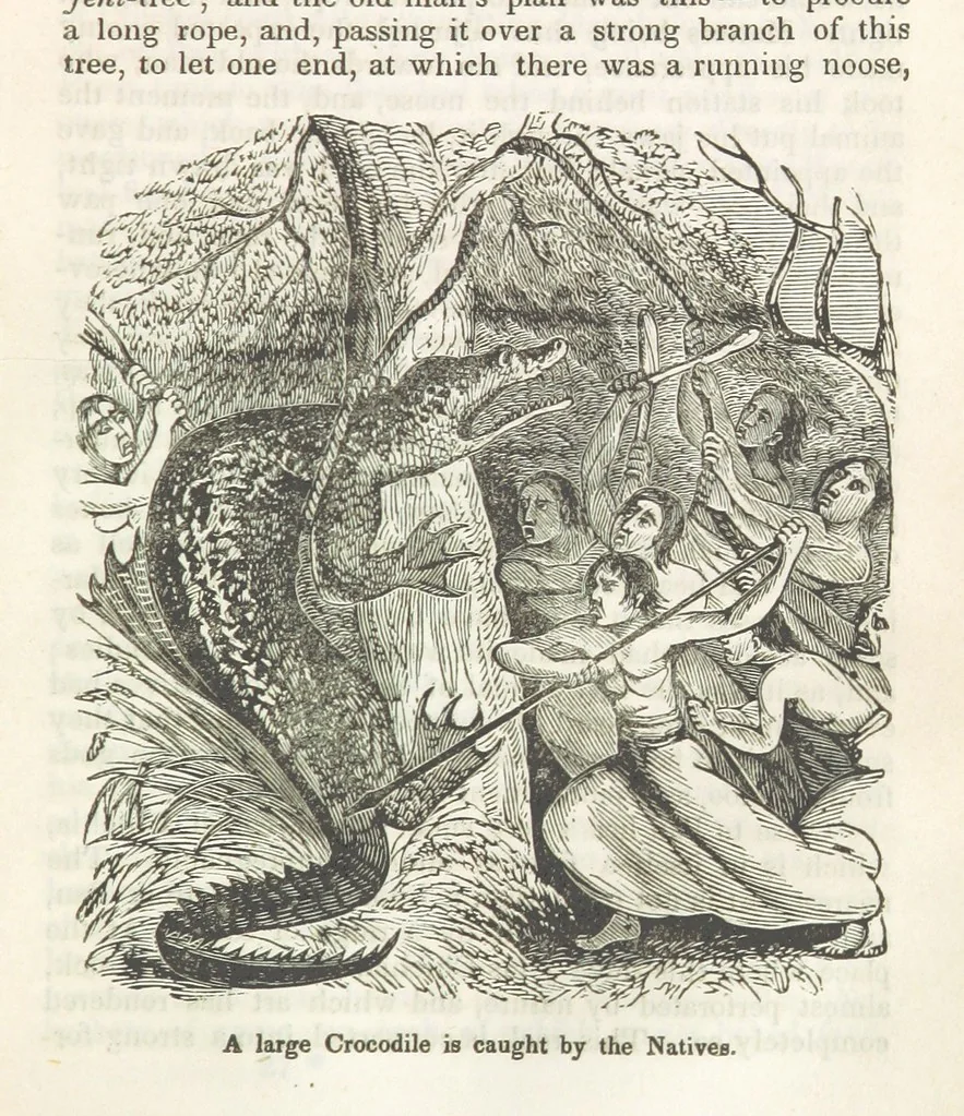 An illustration from Robinson Crusoe's own book; or, the voice of adventure from the civilized man cut off from his fellows ... and from the wanderer in strange seas and lands, etc, 1842, leaf 325