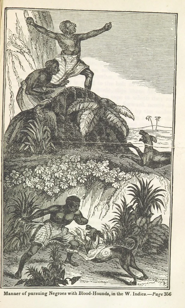 An illustration from Robinson Crusoe's own book; or, the voice of adventure from the civilized man cut off from his fellows ... and from the wanderer in strange seas and lands, etc, 1842, leaf 367