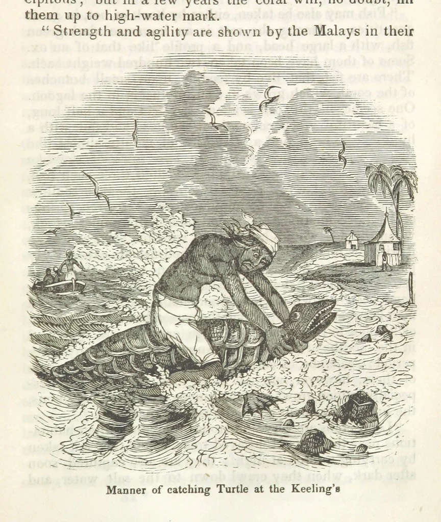 An illustration from Robinson Crusoe's own book; or, the voice of adventure from the civilized man cut off from his fellows ... and from the wanderer in strange seas and lands, etc, 1842, leaf 373