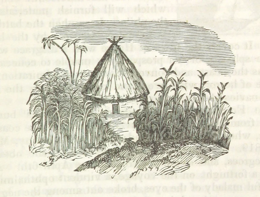 An illustration from Robinson Crusoe's own book; or, the voice of adventure from the civilized man cut off from his fellows ... and from the wanderer in strange seas and lands, etc, 1842, leaf 379
