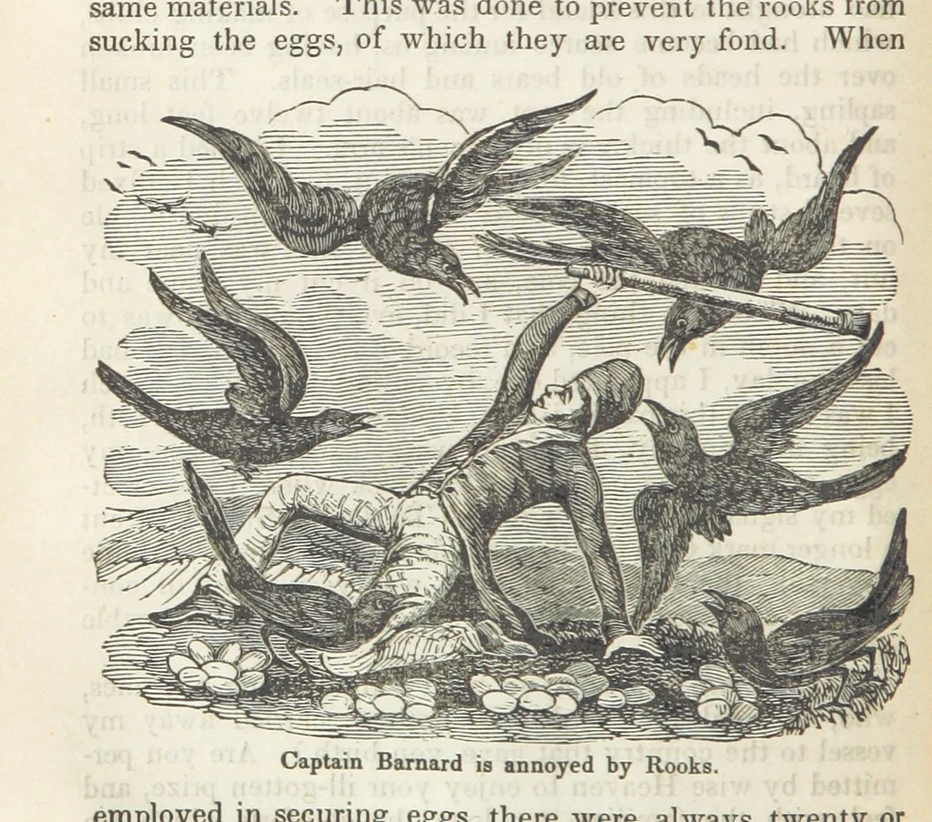An illustration from Robinson Crusoe's own book; or, the voice of adventure from the civilized man cut off from his fellows ... and from the wanderer in strange seas and lands, etc, 1842, leaf 70