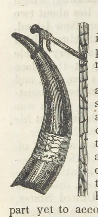 An illustration from Robinson Crusoe's own book; or, the voice of adventure from the civilized man cut off from his fellows ... and from the wanderer in strange seas and lands, etc, 1842, leaf 88