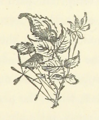 An illustration from Estella. A novel. By Elma, 1876, leaf 201