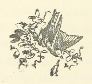 An illustration from Estella. A novel. By Elma, 1876, leaf 300