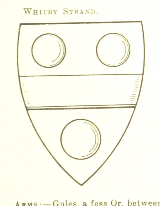 An illustration from Dugdale's Visitation of Yorkshire, [in 1665-66.] with additions. Edited by J. W. Clay, 1899, leaf 519