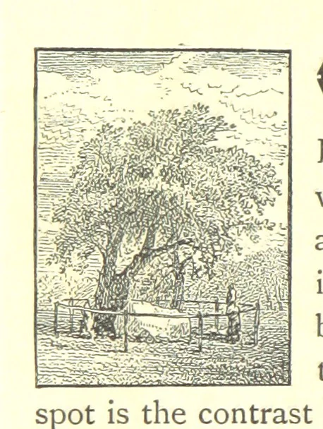 An illustration from Our Native Land, its scenery and associations. A series of 36 water-colour sketches after Rowbotham, Read, Needham, and other eminent artists. With descriptive notes. [The author of the text identified on the wrapper of pt. 1 as “the author of By Loch and by Land”, i.e. Jean L. Watson, 1879, leaf 172