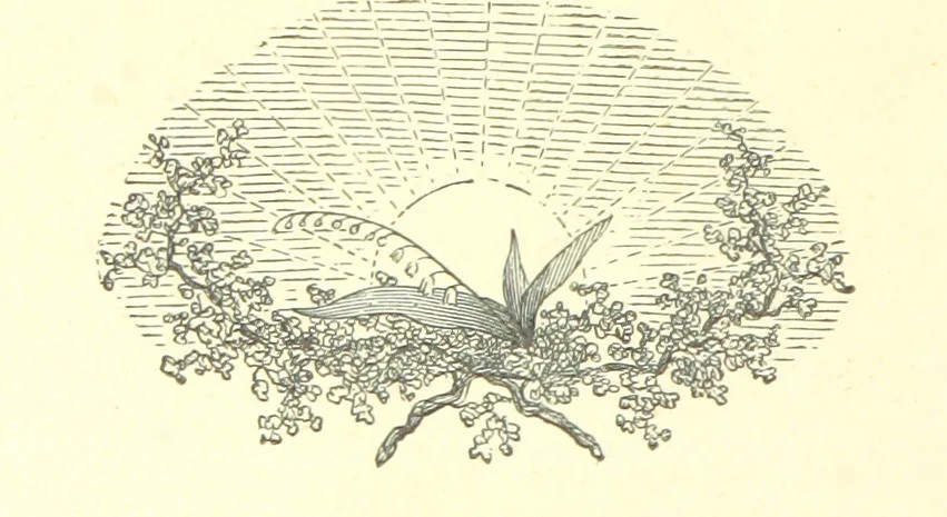 An illustration from Our Native Land, its scenery and associations. A series of 36 water-colour sketches after Rowbotham, Read, Needham, and other eminent artists. With descriptive notes. [The author of the text identified on the wrapper of pt. 1 as “the author of By Loch and by Land”, i.e. Jean L. Watson, 1879, leaf 40