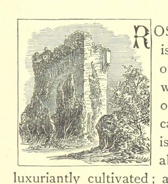 An illustration from Our Native Land, its scenery and associations. A series of 36 water-colour sketches after Rowbotham, Read, Needham, and other eminent artists. With descriptive notes. [The author of the text identified on the wrapper of pt. 1 as “the author of By Loch and by Land”, i.e. Jean L. Watson, 1879, leaf 81