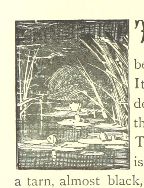 An illustration from Our Native Land, its scenery and associations. A series of 36 water-colour sketches after Rowbotham, Read, Needham, and other eminent artists. With descriptive notes. [The author of the text identified on the wrapper of pt. 1 as “the author of By Loch and by Land”, i.e. Jean L. Watson, 1879, leaf 84