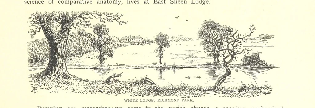 An illustration from New Series, 1880, leaf 27