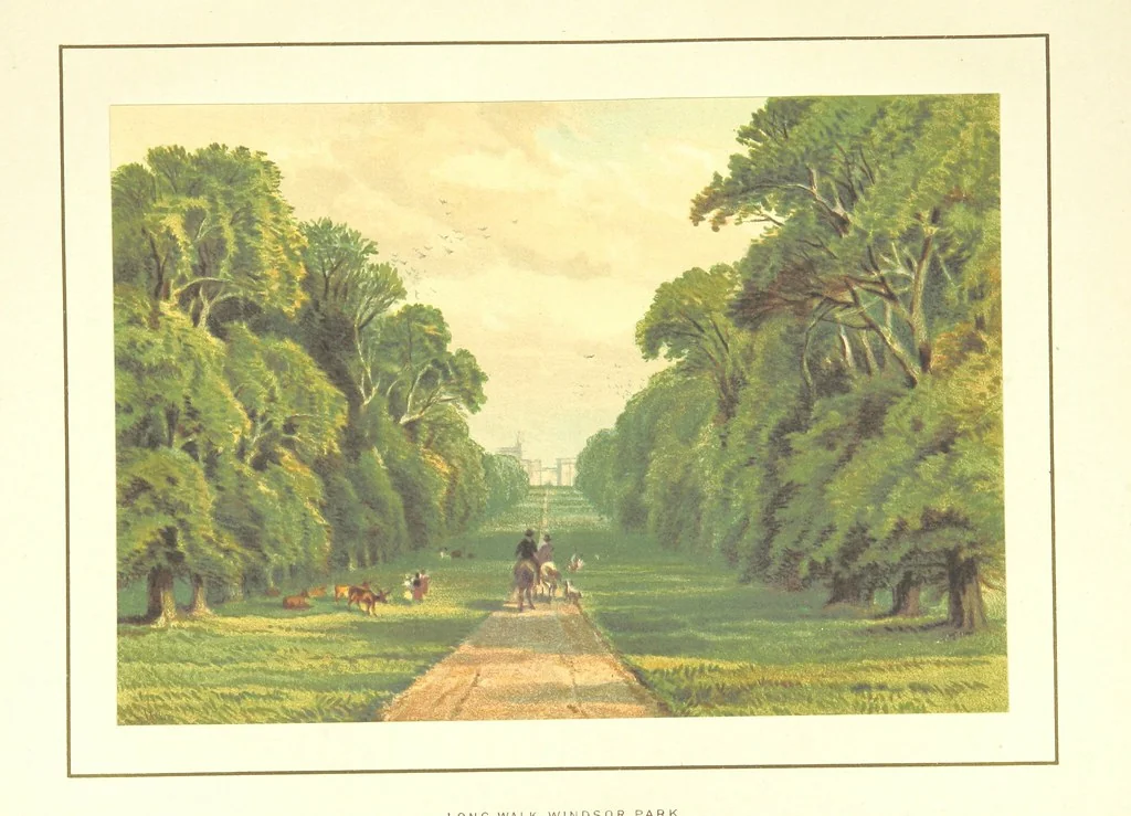 An illustration from New Series, 1880, leaf 49