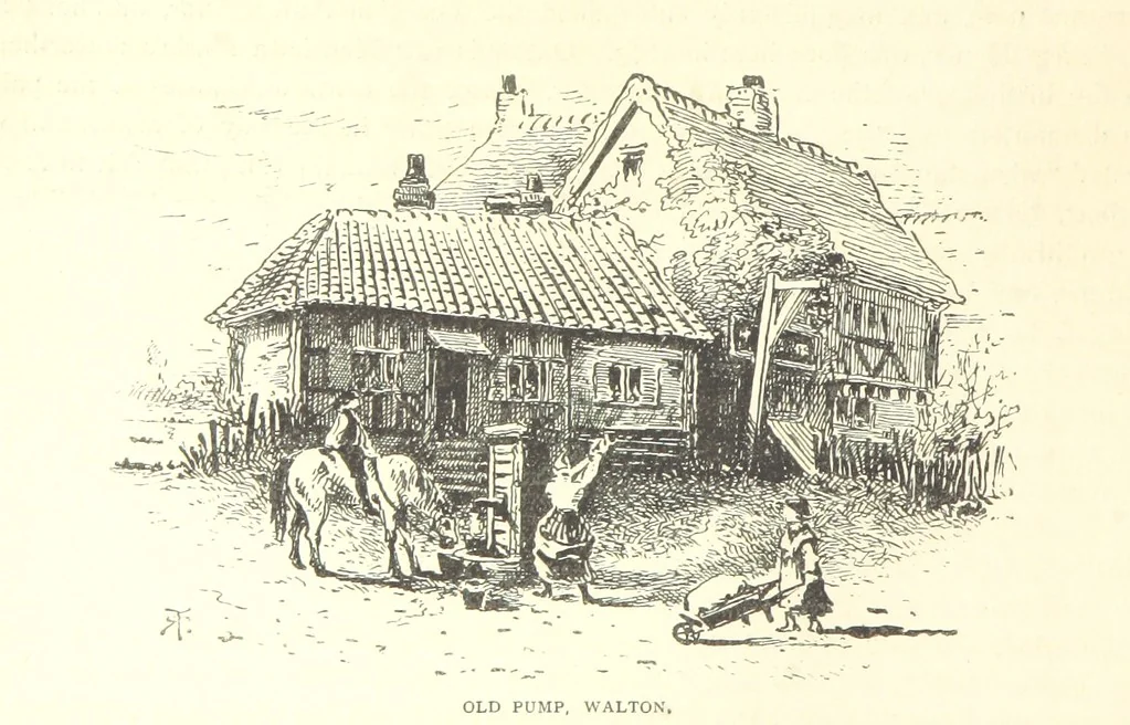 An illustration from New Series, 1880, leaf 58