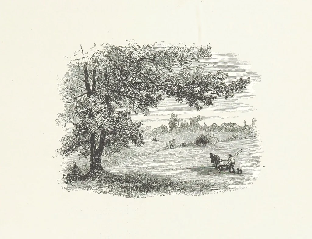 An illustration from Nature and Art: poems and pictures from the best authors and artists. Compiled by L. R. Estes. Illustrated with ... etchings ... and ... illustrations, etc, 1890, leaf 111