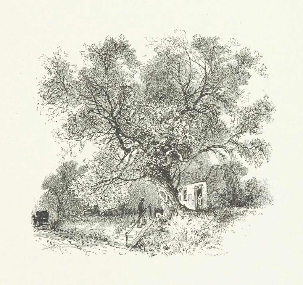 An illustration from Nature and Art: poems and pictures from the best authors and artists. Compiled by L. R. Estes. Illustrated with ... etchings ... and ... illustrations, etc, 1890, leaf 113