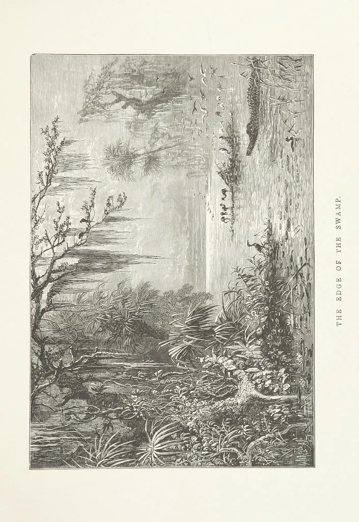 An illustration from Nature and Art: poems and pictures from the best authors and artists. Compiled by L. R. Estes. Illustrated with ... etchings ... and ... illustrations, etc, 1890, leaf 127