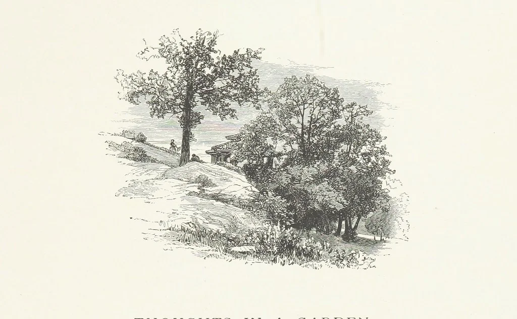 An illustration from Nature and Art: poems and pictures from the best authors and artists. Compiled by L. R. Estes. Illustrated with ... etchings ... and ... illustrations, etc, 1890, leaf 131