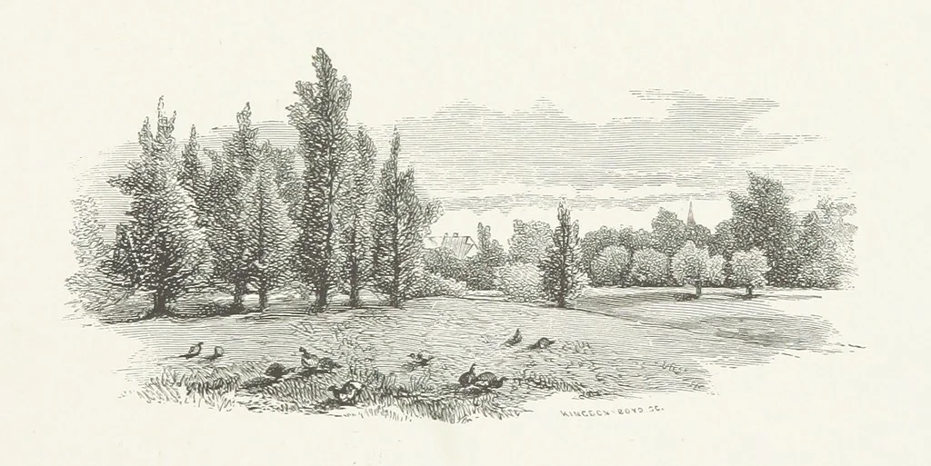 An illustration from Nature and Art: poems and pictures from the best authors and artists. Compiled by L. R. Estes. Illustrated with ... etchings ... and ... illustrations, etc, 1890, leaf 139