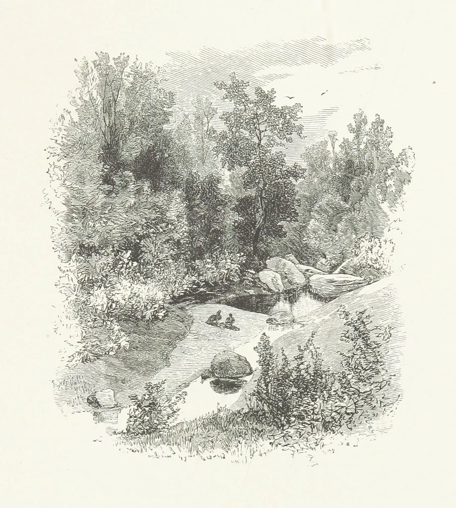 An illustration from Nature and Art: poems and pictures from the best authors and artists. Compiled by L. R. Estes. Illustrated with ... etchings ... and ... illustrations, etc, 1890, leaf 143