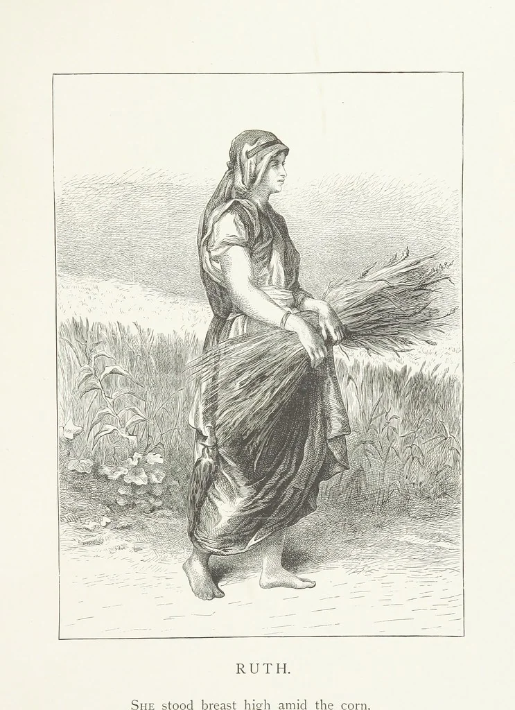 An illustration from Nature and Art: poems and pictures from the best authors and artists. Compiled by L. R. Estes. Illustrated with ... etchings ... and ... illustrations, etc, 1890, leaf 163