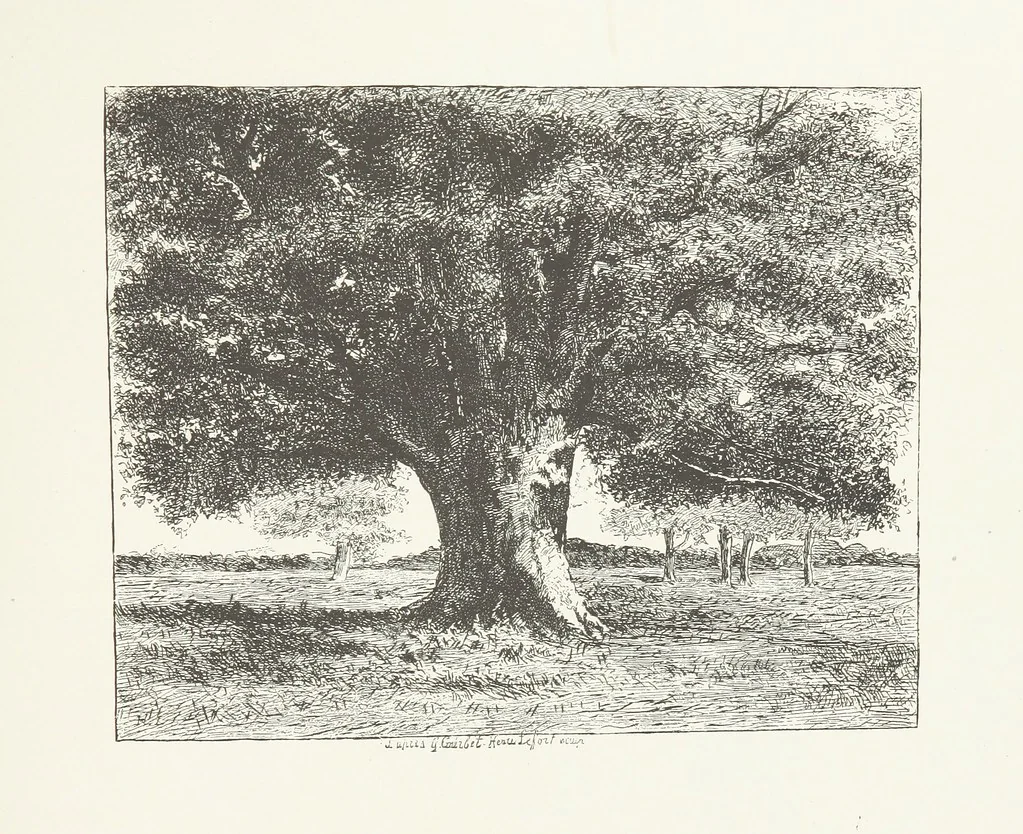 An illustration from Nature and Art: poems and pictures from the best authors and artists. Compiled by L. R. Estes. Illustrated with ... etchings ... and ... illustrations, etc, 1890, leaf 165