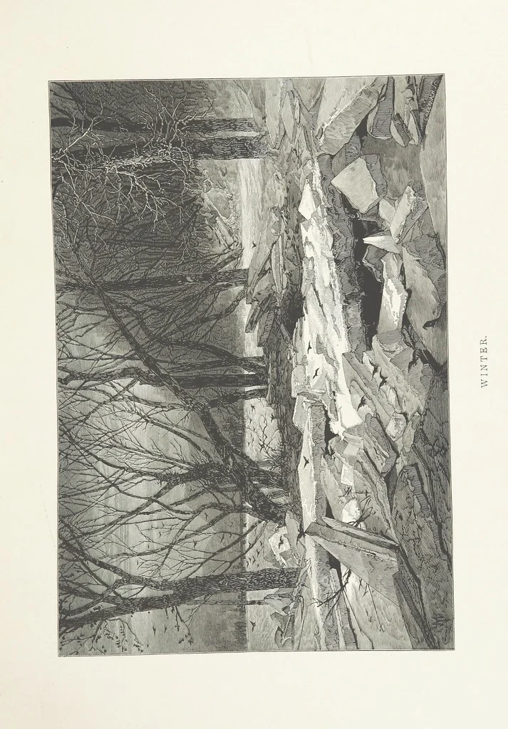 An illustration from Nature and Art: poems and pictures from the best authors and artists. Compiled by L. R. Estes. Illustrated with ... etchings ... and ... illustrations, etc, 1890, leaf 47