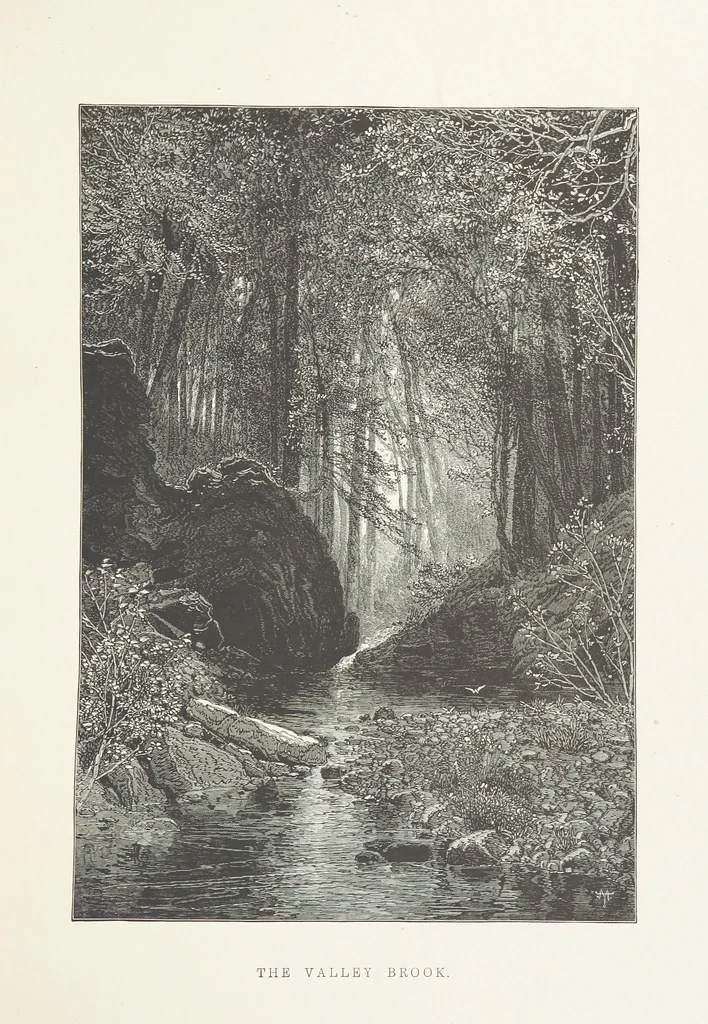 An illustration from Nature and Art: poems and pictures from the best authors and artists. Compiled by L. R. Estes. Illustrated with ... etchings ... and ... illustrations, etc, 1890, leaf 53