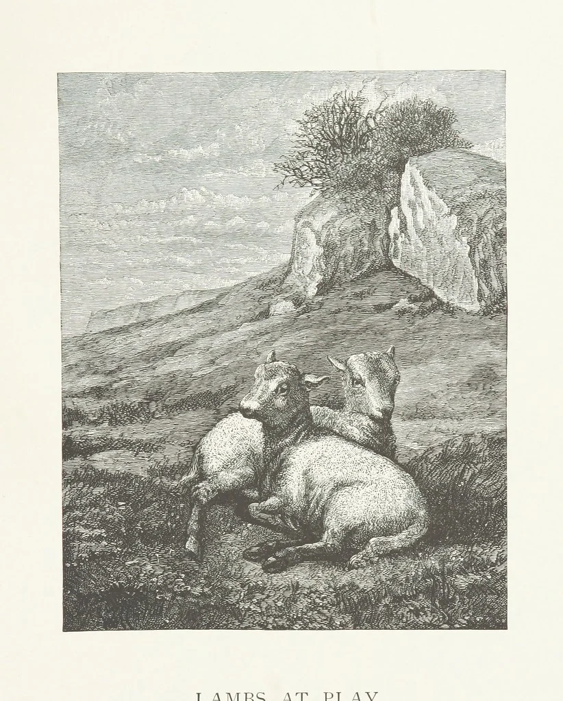 An illustration from Nature and Art: poems and pictures from the best authors and artists. Compiled by L. R. Estes. Illustrated with ... etchings ... and ... illustrations, etc, 1890, leaf 75