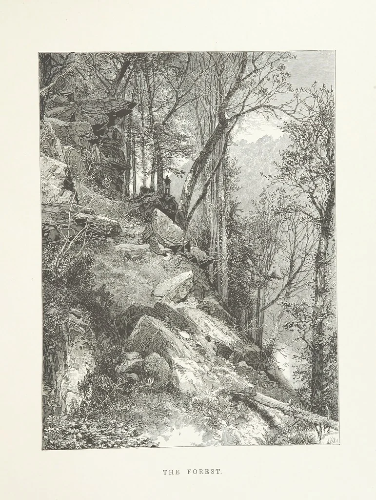 An illustration from Nature and Art: poems and pictures from the best authors and artists. Compiled by L. R. Estes. Illustrated with ... etchings ... and ... illustrations, etc, 1890, leaf 79