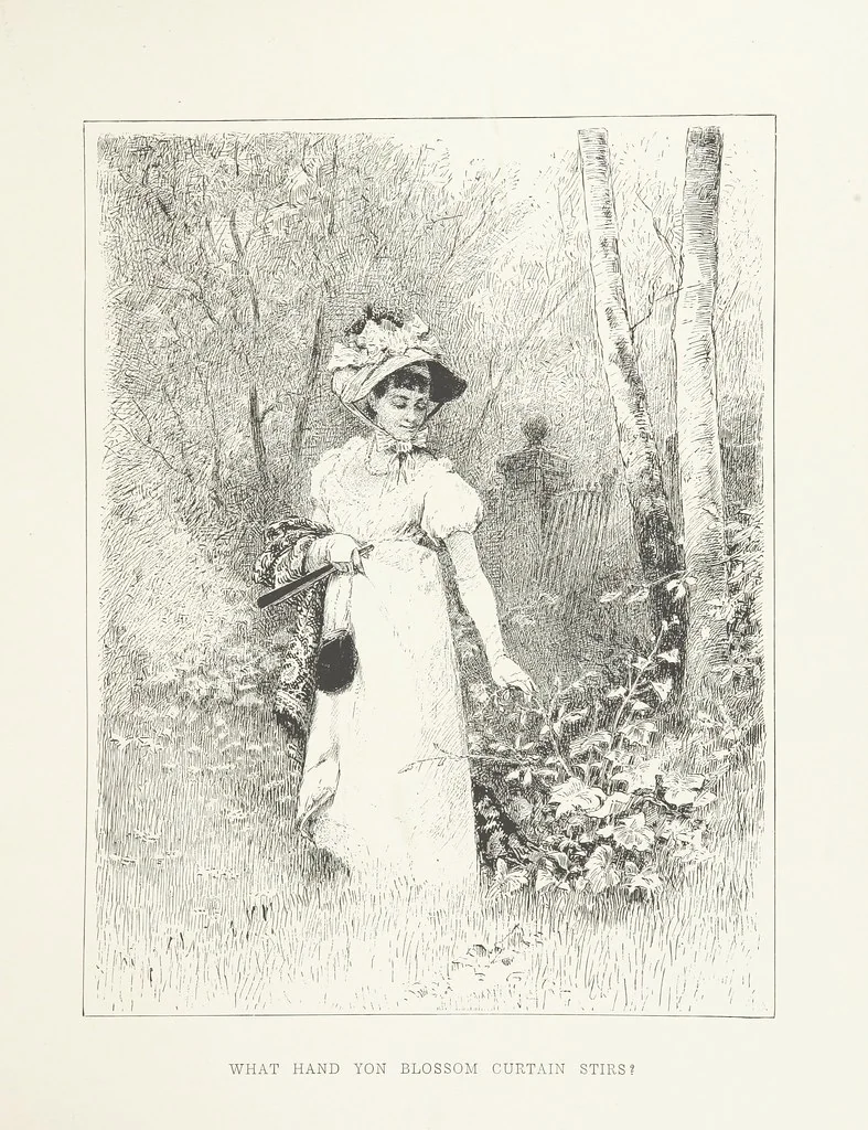 An illustration from Nature and Art: poems and pictures from the best authors and artists. Compiled by L. R. Estes. Illustrated with ... etchings ... and ... illustrations, etc, 1890, leaf 95