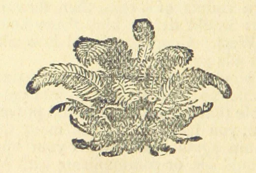 An illustration from At the Mercy of Tiberius, 1897, leaf 284