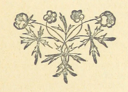 An illustration from At the Mercy of Tiberius, 1897, leaf 31