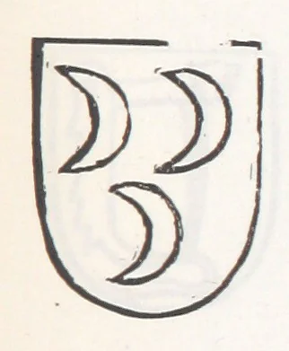 An illustration from Forschungen auf dem Gebiete der Rheinischen und Westphälischen Geschichte, etc, 1864, leaf 341