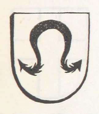 An illustration from Forschungen auf dem Gebiete der Rheinischen und Westphälischen Geschichte, etc, 1864, leaf 343