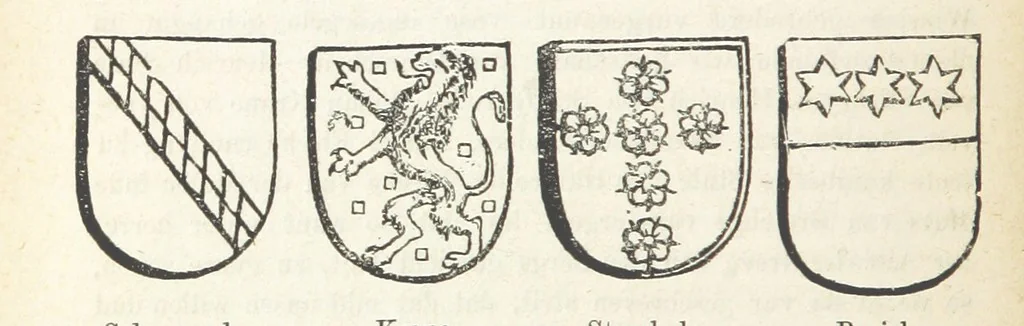 An illustration from Forschungen auf dem Gebiete der Rheinischen und Westphälischen Geschichte, etc, 1864, leaf 302