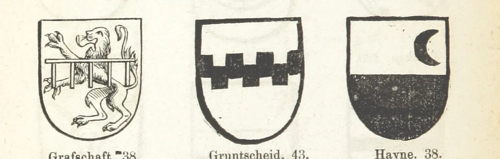 An illustration from Forschungen auf dem Gebiete der Rheinischen und Westphälischen Geschichte, etc, 1864, leaf 564