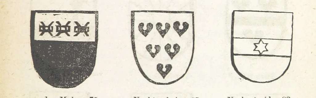 An illustration from Forschungen auf dem Gebiete der Rheinischen und Westphälischen Geschichte, etc, 1864, leaf 565