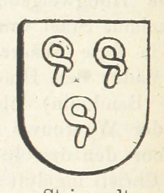 An illustration from Forschungen auf dem Gebiete der Rheinischen und Westphälischen Geschichte, etc, 1864, leaf 314