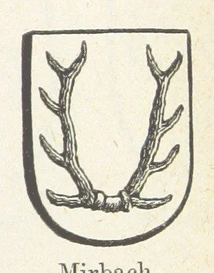 An illustration from Forschungen auf dem Gebiete der Rheinischen und Westphälischen Geschichte, etc, 1864, leaf 339