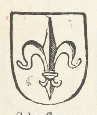 An illustration from Forschungen auf dem Gebiete der Rheinischen und Westphälischen Geschichte, etc, 1864, leaf 341