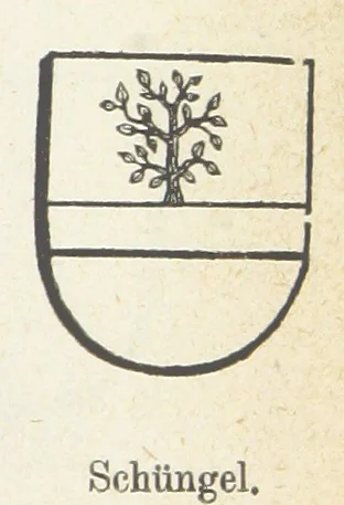 An illustration from Forschungen auf dem Gebiete der Rheinischen und Westphälischen Geschichte, etc, 1864, leaf 341