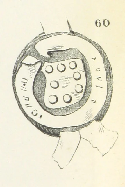 An illustration from Forschungen auf dem Gebiete der Rheinischen und Westphälischen Geschichte, etc, 1864, leaf 345