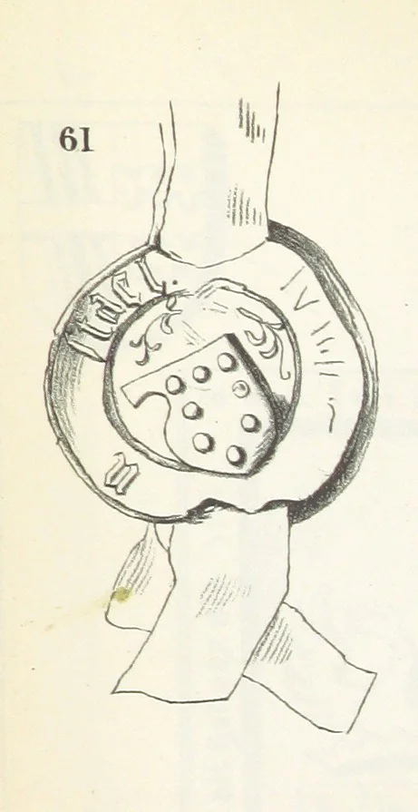 An illustration from Forschungen auf dem Gebiete der Rheinischen und Westphälischen Geschichte, etc, 1864, leaf 347