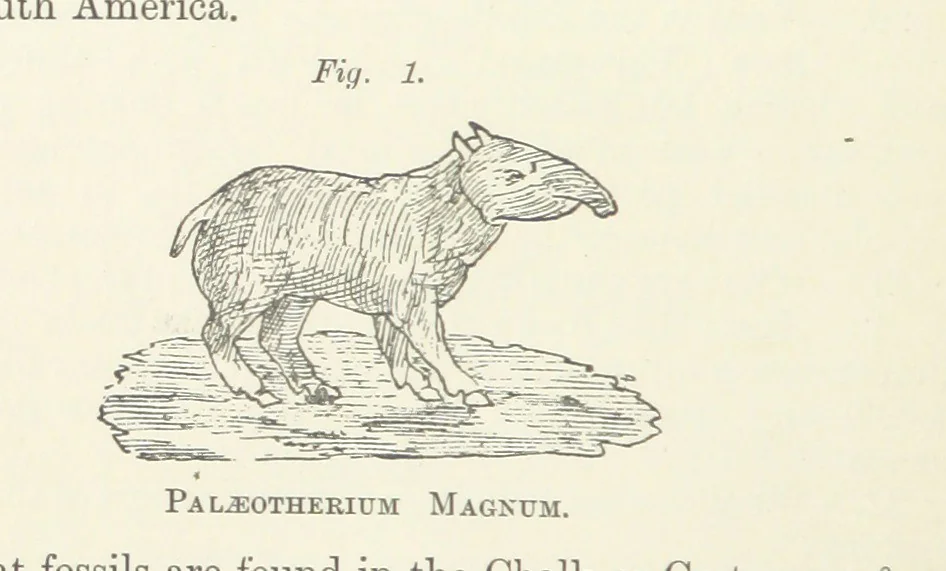 An illustration from The Practice and Science of Mining Engineering: a manual adapted for the use of mine owners, etc, 1896, leaf 18