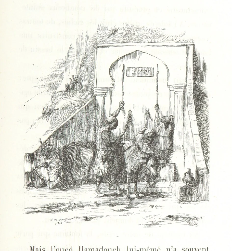 An illustration from À travers la Kabylie, etc, 1865, leaf 237