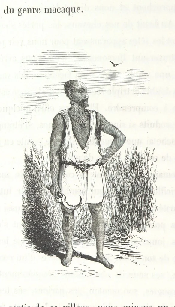 An illustration from À travers la Kabylie, etc, 1865, leaf 374
